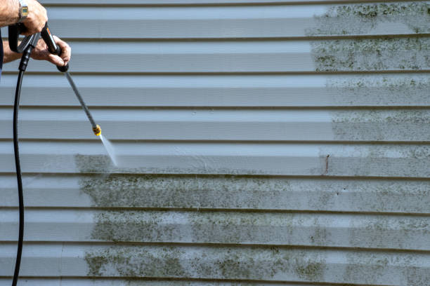 Best Yard Waste Removal  in West Sayville, NY